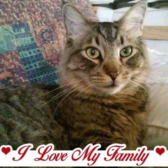 Meet your Posher, Ana miriam - Picture 1 of 1